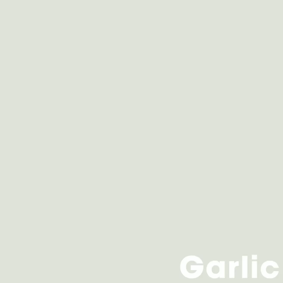 Kwantum Muurverf Professional Garlic 2.5 L | Muurverf